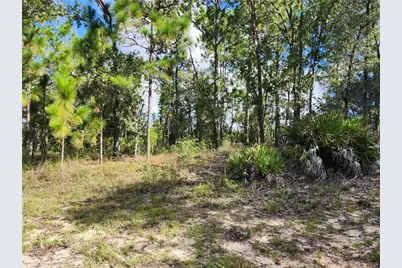 6741 N Darlington Drive, Dunnellon, FL 34434 - Photo 2