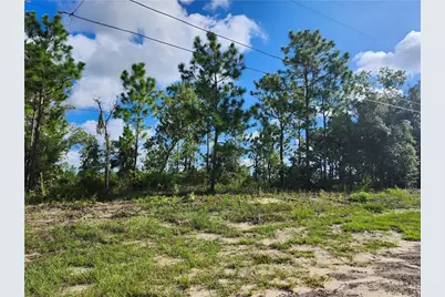 6715 N Darlington Drive, Dunnellon, FL 34434 - Photo 2