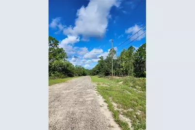 6715 N Darlington Drive, Dunnellon, FL 34434 - Photo 6