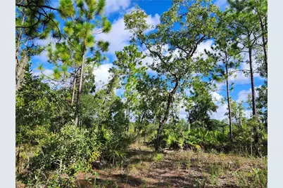 6715 N Darlington Drive, Dunnellon, FL 34434 - Photo 4