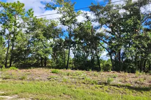 6715 N Darlington Dr, Dunnellon, FL 34434 - Photo 1