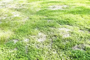[Address not provided], Dunnellon, FL 34432 - Photo 60