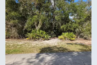 4114 E Camp Izzard Place, Dunnellon, FL 34434 - Photo 4