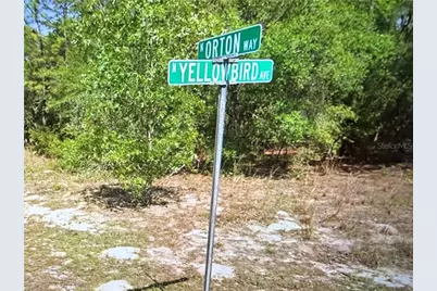 8265 N Yellowbird Avenue, Dunnellon, FL 34434 - Photo 1