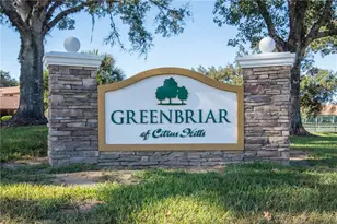186 E Glassboro Ct, Hernando, FL 34442 - Photo 52