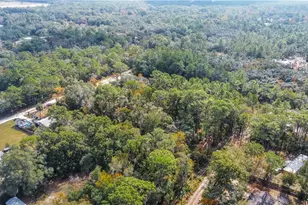 419 N Florene Point, Crystal River, FL 34429 - Photo 6