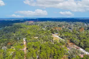 419 N Florene Point, Crystal River, FL 34429 - Photo 14