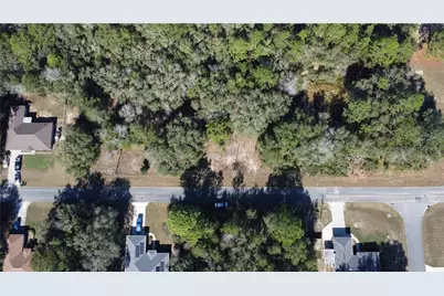 1463 W Lorraine Drive, Dunnellon, FL 34434 - Photo 2