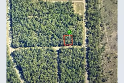 1409 E Fergason Lane, Citrus Springs, FL 34434 - Photo 2