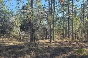 Lot 13 NW Water Oak Ave, Dunnellon, FL 34431 - Photo 1