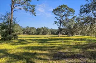 [Address not provided], Okahumpka, FL 34762 - Photo 74