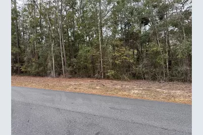 10350 N Academy Drive, Citrus Springs, FL 34434 - Photo 2