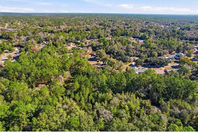 36 Pine Drive, Homosassa, FL 34446 - Photo 36