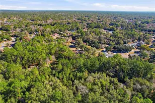 36 Pine Dr, Homosassa, FL 34446 - Photo 36