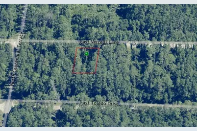 1016 E Vercelli Lane, Dunnellon, FL 34434 - Photo 2