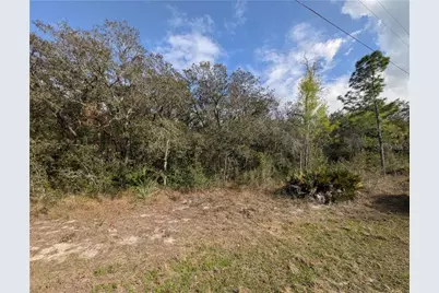 6775 S Sorrell Avenue, Homosassa, FL 34446 - Photo 4