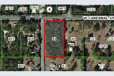 6775 S Sorrell Avenue, Homosassa, FL 34446 - Photo 1