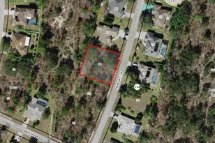 5 Dahlia Ct N, Homosassa, FL 34446 - Photo 1