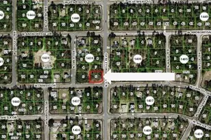 10920 N G Martinelli Blvd, Citrus Springs, FL 34433 - Photo 1