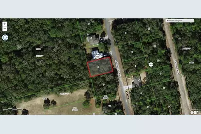 8678 N Farragut Way, Citrus Springs, FL 34434 - Photo 4