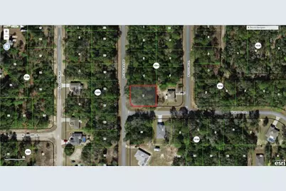 6285 N Cavalier Terrace, Citrus Springs, FL 34433 - Photo 4