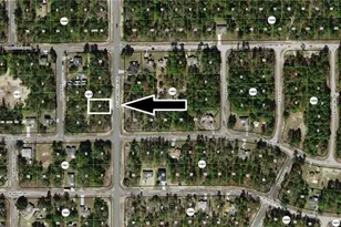 10940 N G Martinelli Blvd, Citrus Springs, FL 34433 - Photo 1