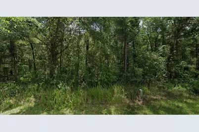 305 N Fitzpatrick Avenue, Inverness, FL 34453 - Photo 1