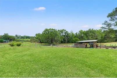 23125 Jacobson Road, Brooksville, FL 34601 - Photo 50