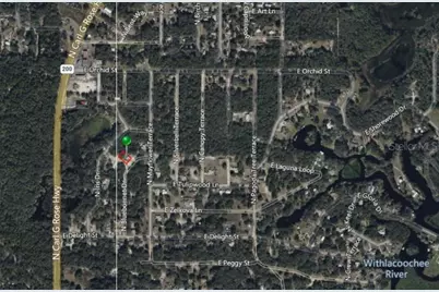 6482 N Bluebonnet Drive, Hernando, FL 34442 - Photo 4