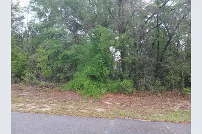 7851 N Vince Drive, Dunnellon, FL 34434 - Photo 1