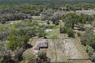 9166 N Eubanks Terrace, Dunnellon, FL 34433 - Photo 26