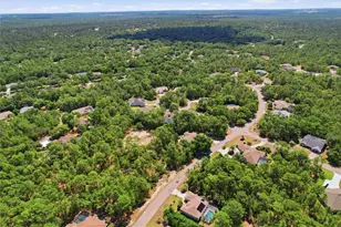 3 Portulaca Ct N, Homosassa, FL 34446 - Photo 46