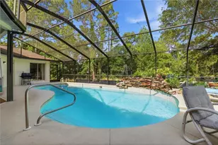 3 Portulaca Ct N, Homosassa, FL 34446 - Photo 2