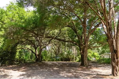 3482 County Road 507, Wildwood, FL 34785 - Photo 6
