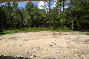 1242 W Redding St, Hernando, FL 34442 - Photo 4