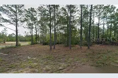 10599 N Caldera Avenue, Dunnellon, FL 34433 - Photo 1