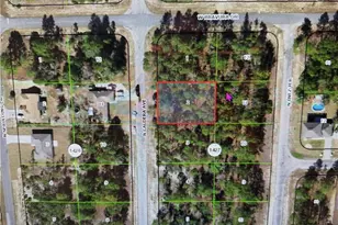 10585 N Caldera Ave, Dunnellon, FL 34433 - Photo 1
