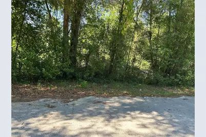 1875 N Scenic Way, Crystal River, FL 34429 - Photo 1