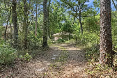 9291 NW 127 Place, Chiefland, FL 32626 - Photo 6