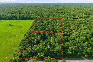 9291 NW 127th Pl, Chiefland, FL 32626 - Photo 4
