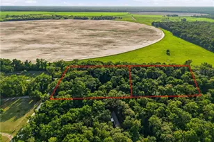 9291 NW 127th Pl, Chiefland, FL 32626 - Photo 72