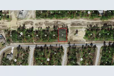 2905 W Sharpes Drive, Citrus Springs, FL 34433 - Photo 2