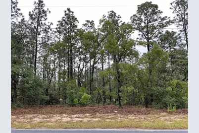 2905 W Sharpes Drive, Citrus Springs, FL 34433 - Photo 1