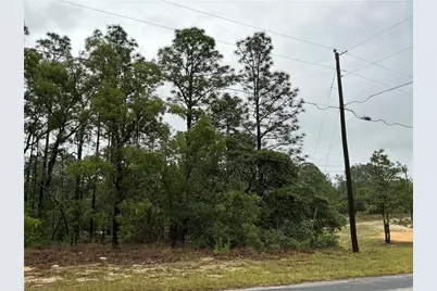 2905 W Sharpes Drive, Citrus Springs, FL 34433 - Photo 4
