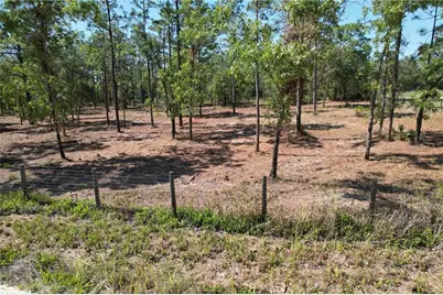 5563 W Osmond Lane, Dunnellon, FL 34433 - Photo 4