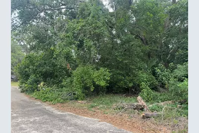 3638 E Lee Drive, Inverness, FL 34453 - Photo 2