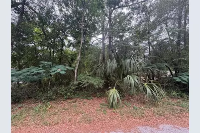 3462 E Michael Street, Inverness, FL 34453 - Photo 2