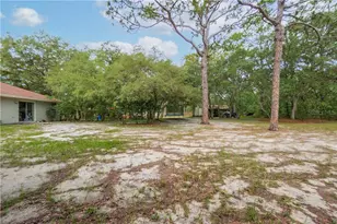 2925 W Birds Nest Dr, Beverly Hills, FL 34465 - Photo 32