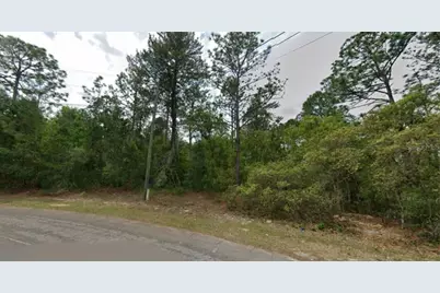 7792 N Ibsen Drive, Citrus Springs, FL 34433 - Photo 2