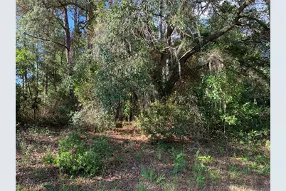 4081 W Findlay Street, Citrus Springs, FL 34433 - Photo 2